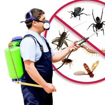 pest control New Albany